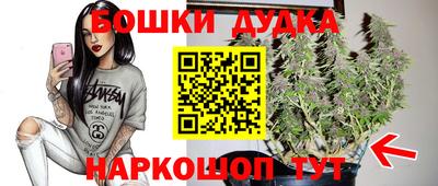 ешки Камышлов