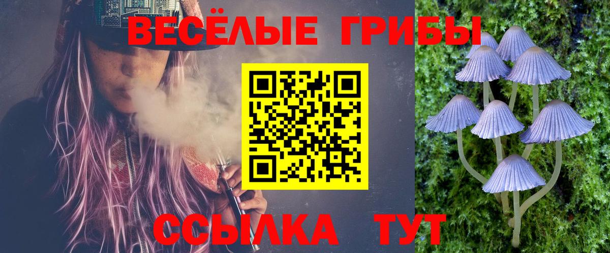 Галлюциногенные грибы Psilocybe Красноуфимск